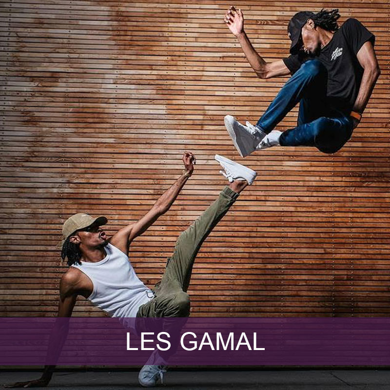 Les Gamal
